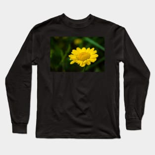 Yellow flower of dyer's camomile Long Sleeve T-Shirt